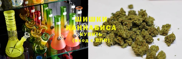 стаф Арсеньев