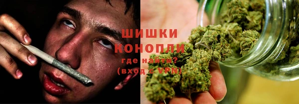 ешки Аркадак