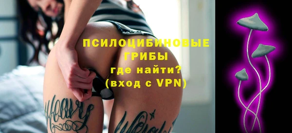 ешки Аркадак