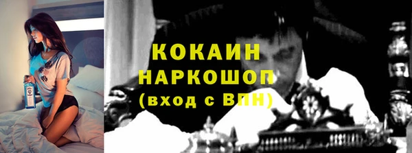 стаф Арсеньев