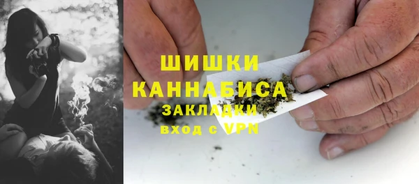 ешки Аркадак