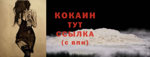 стаф Арсеньев