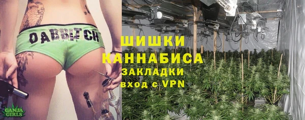 ешки Аркадак