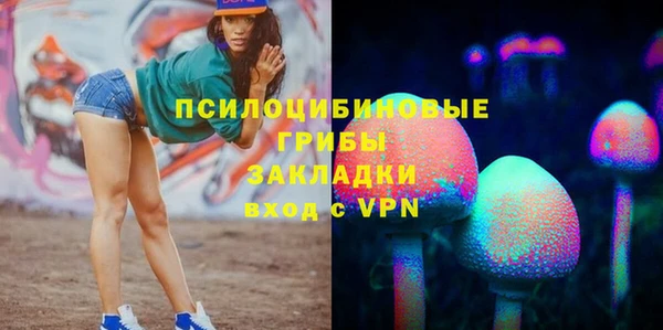 ешки Аркадак