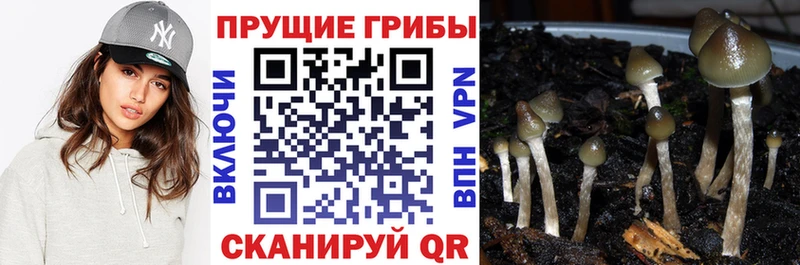 Галлюциногенные грибы прущие грибы  Билибино 